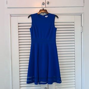 NWOT Calvin Klein royal blue dress size 4. Great for work and a night ou…